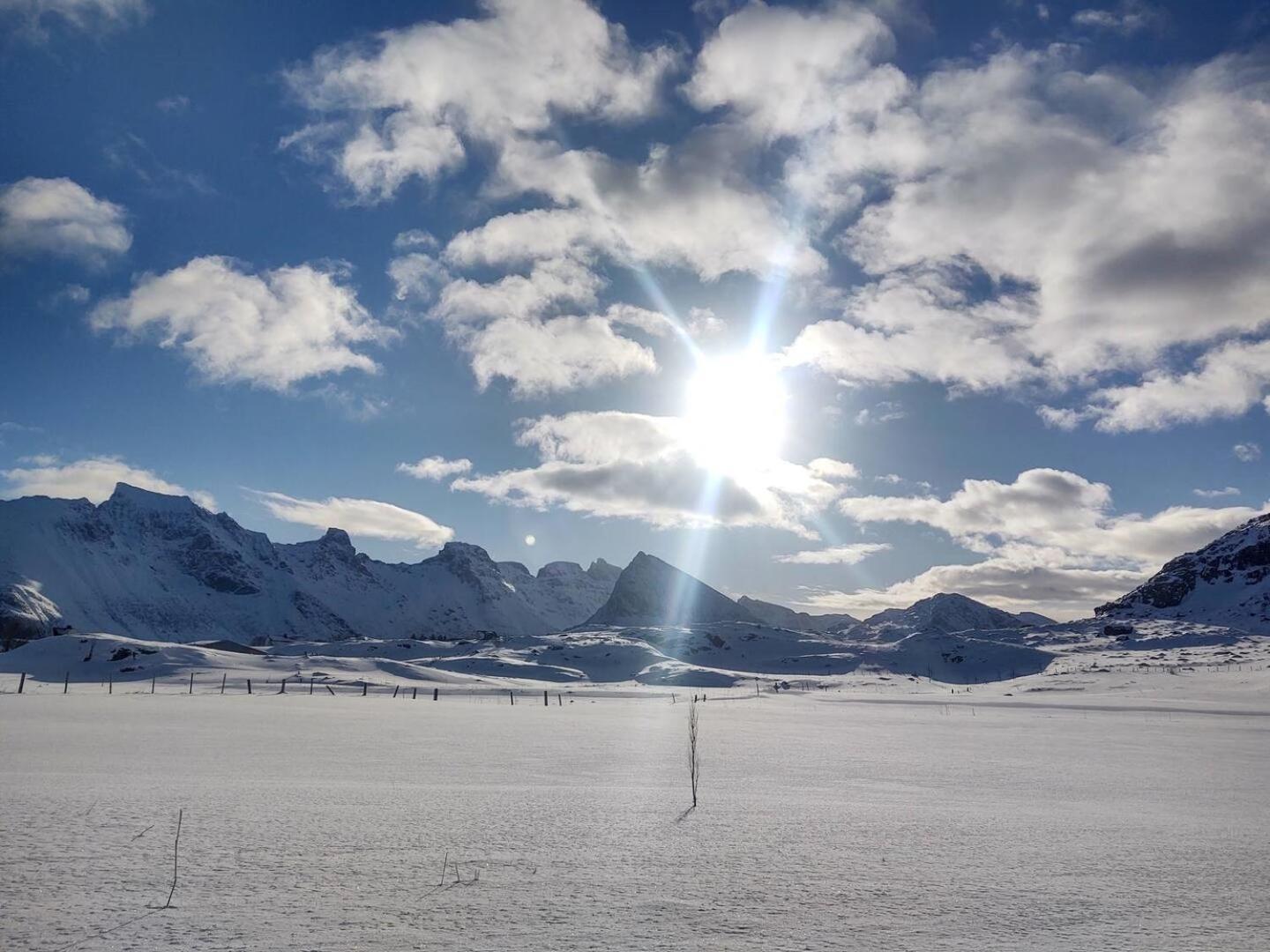 Fredvang Farm House, Lofoten Eksteriør bilde