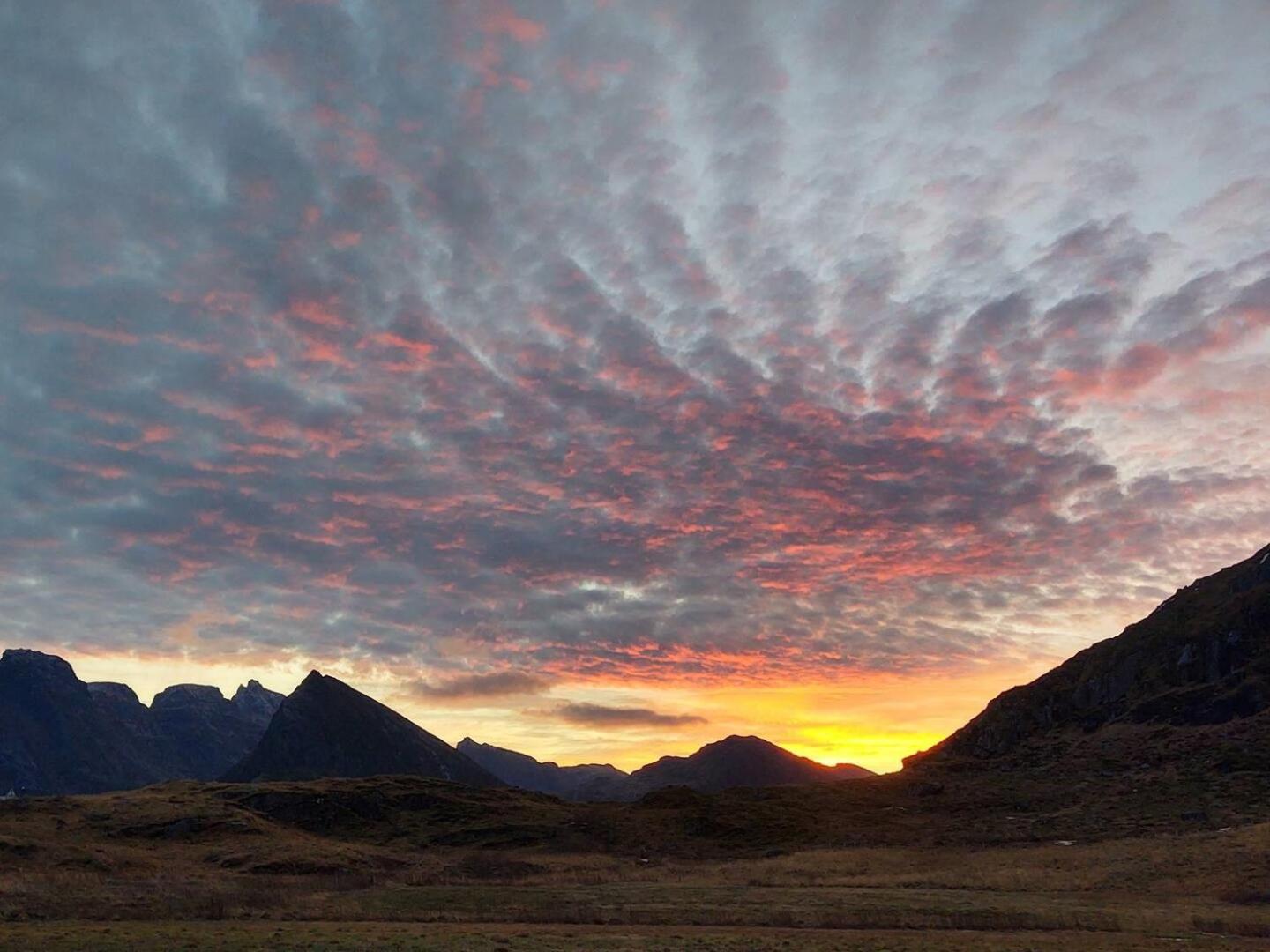 Fredvang Farm House, Lofoten Eksteriør bilde