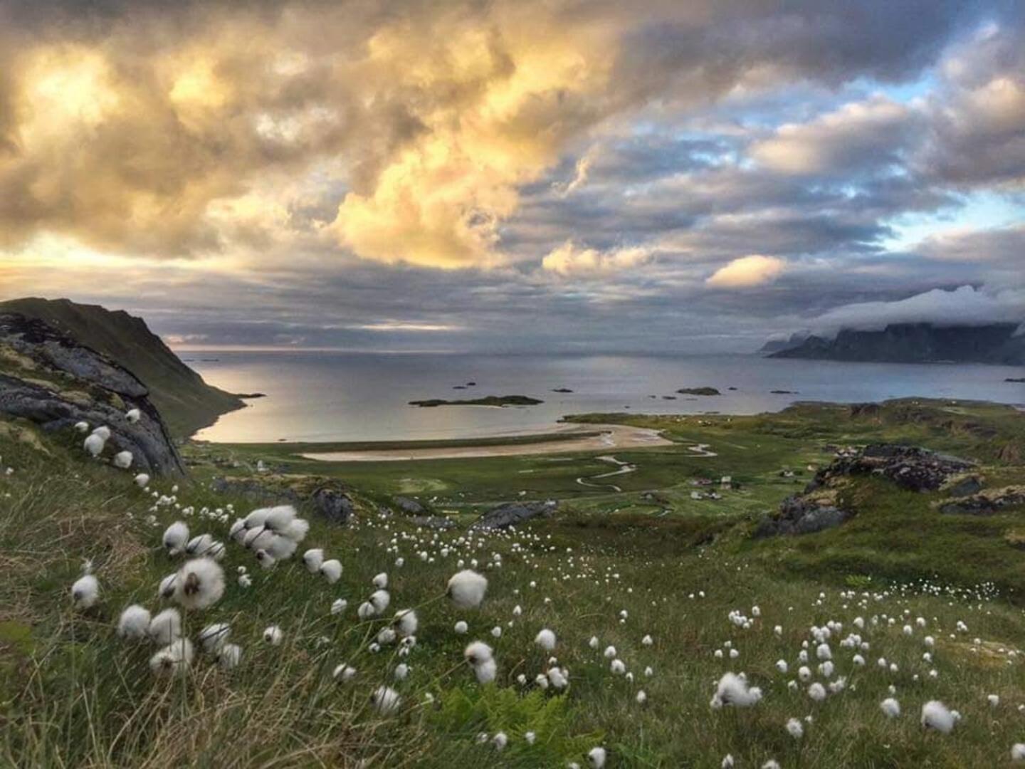 Fredvang Farm House, Lofoten Eksteriør bilde
